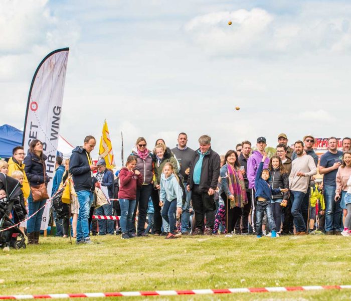 A crowd gathers outdoors, watching people in a queue participate in a fun activity on a grassy field.