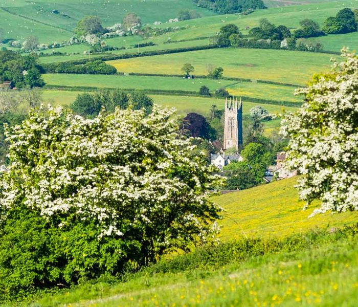 A church tower rises among trees and fields in a lush, green countryside landscape.